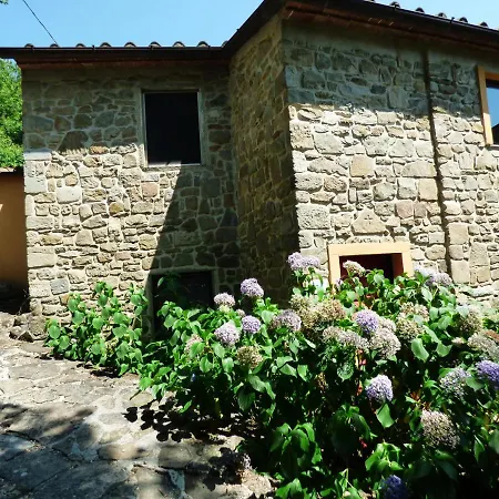 L'ortensia * Pistoya