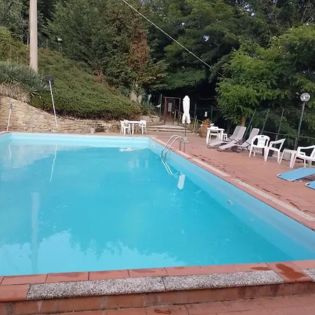 L'ortensia Pistoya