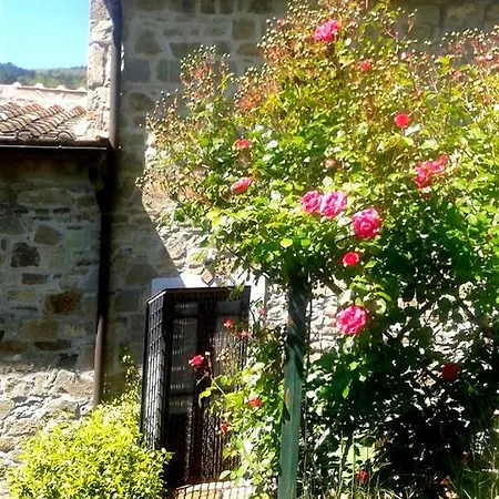 L'ortensia Pistoya
