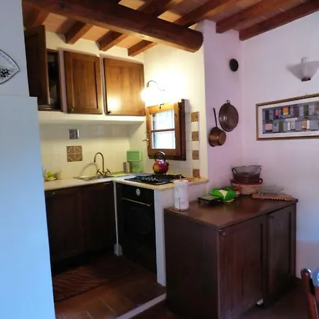 L'ortensia Pistoya