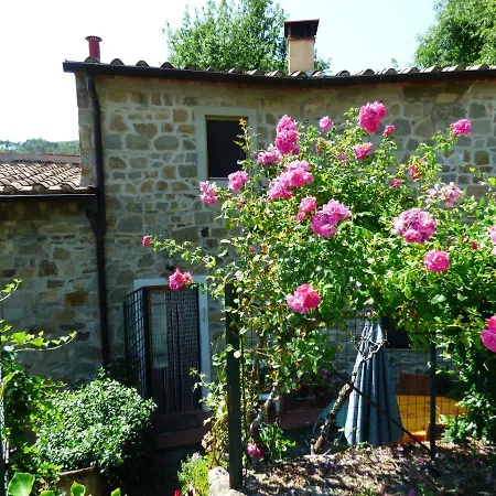 L'ortensia *